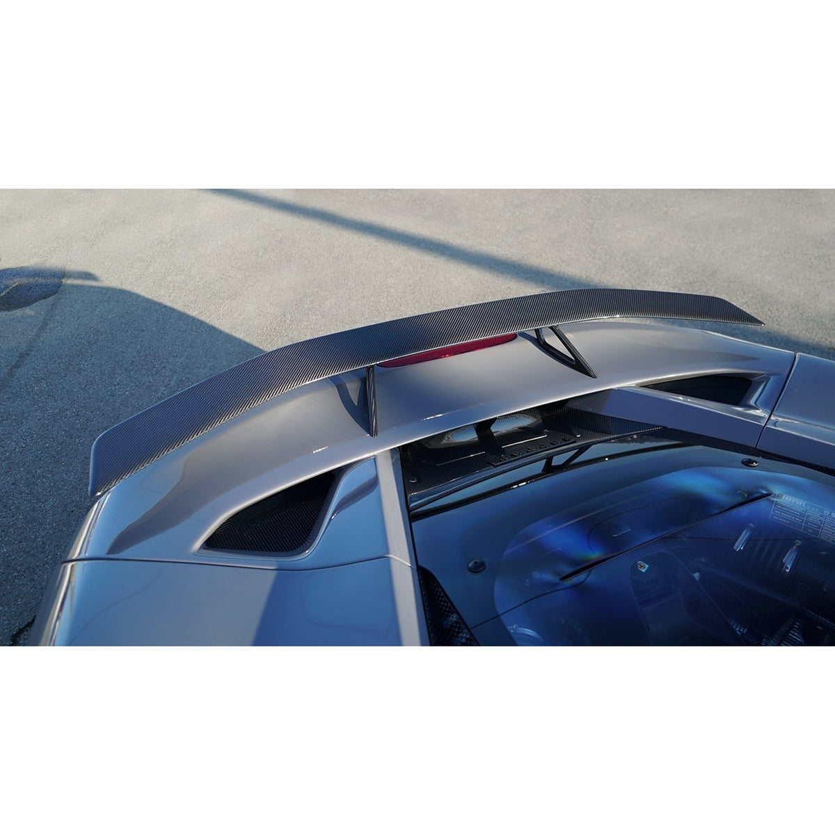 REARWING - installed view