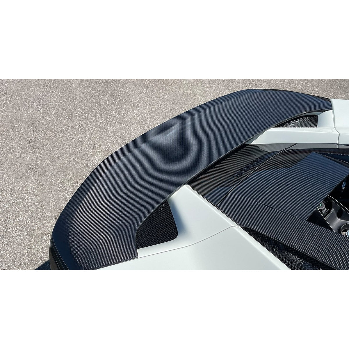 N-LARGO DUCKTAIL - installed view