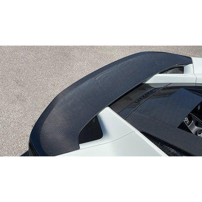 N-LARGO DUCKTAIL - installed view