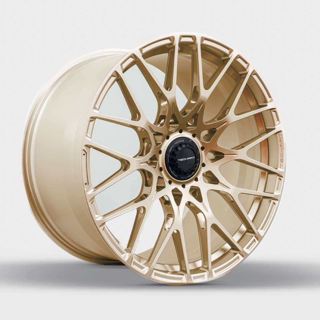 TECHART Formula IX Race wheel detail