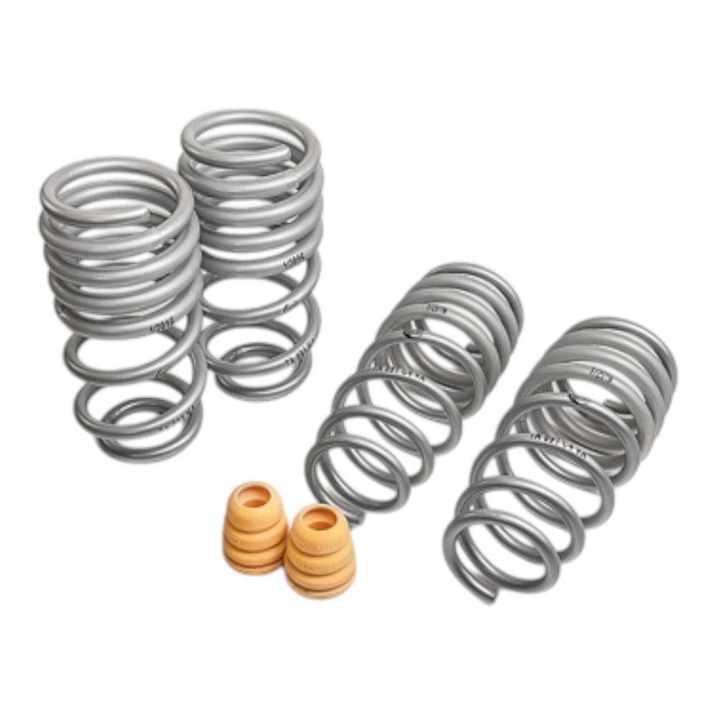 TECHART Sport Spring Set 092.200.110.009 for Porsche 911 992.2 - image 1