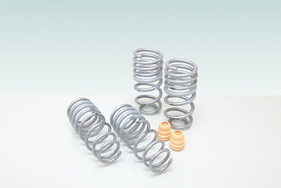 TECHART Sport Spring Kit for Porsche 911 991.1 — Carrera / Carrera S