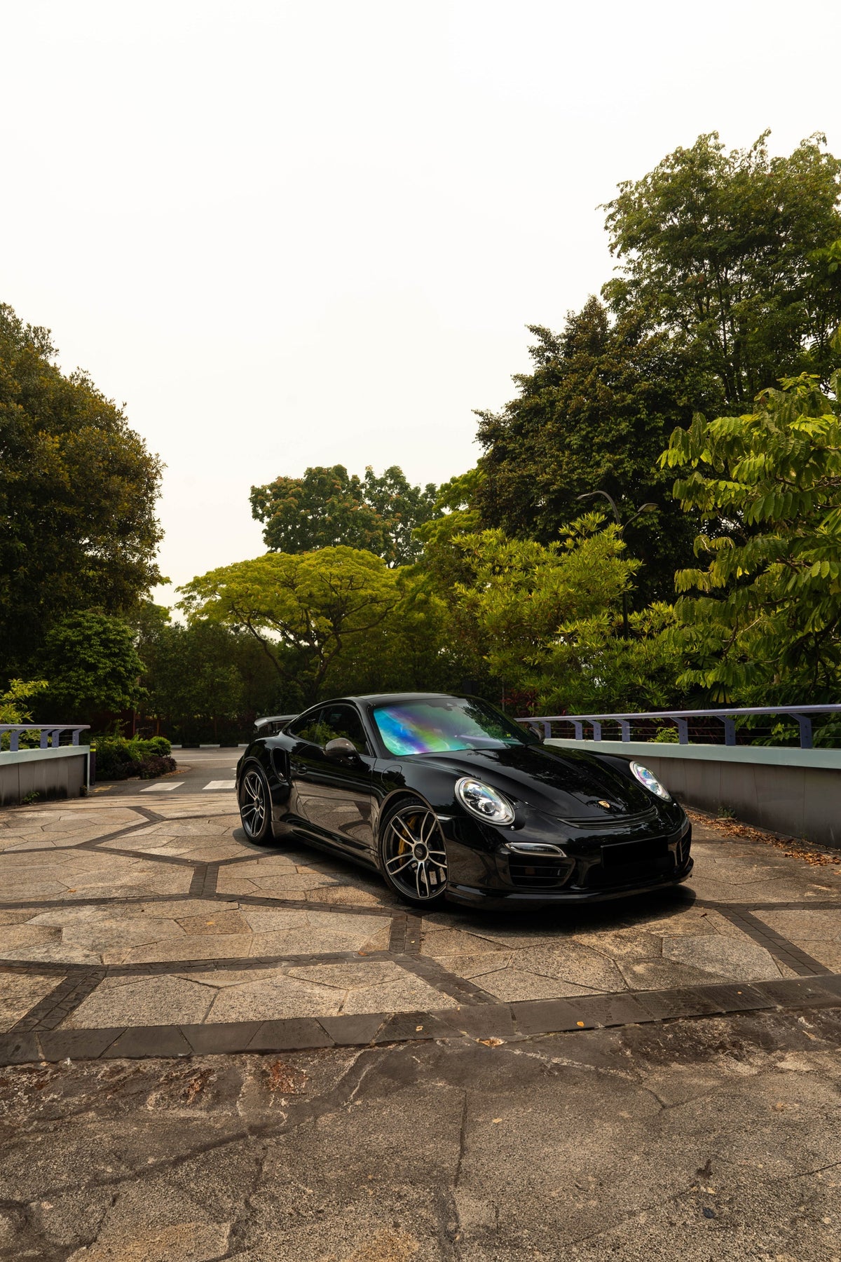 TECHART Carbon Aero Hood for Porsche 911 991.1 — 4